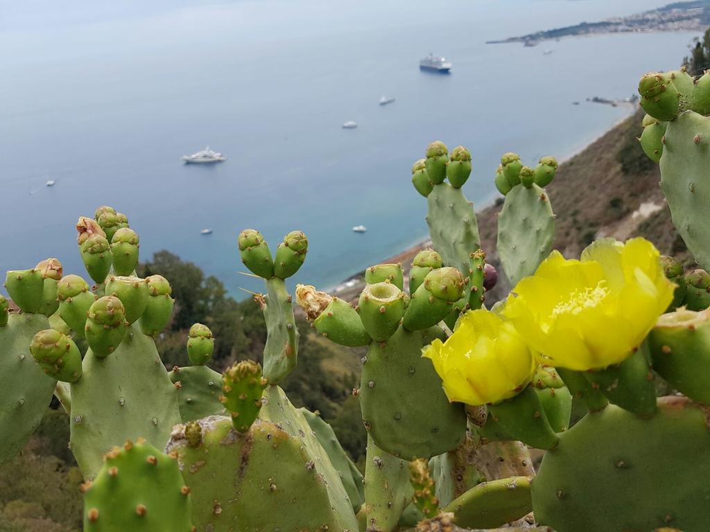 Da Cristina Con Amore Apartment Taormina Ngoại thất bức ảnh