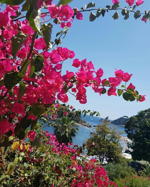 Da Cristina Con Amore Apartment Taormina Ngoại thất bức ảnh
